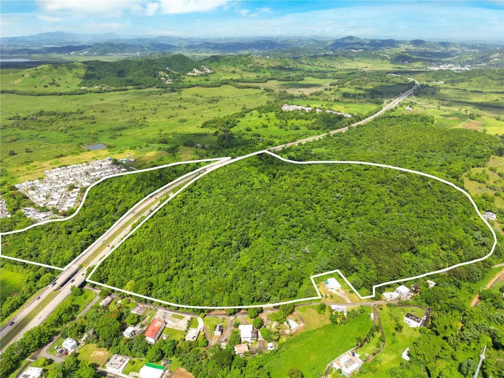 BO MAIZALES CALLE BORGES FINAL Naguabo, PR 00718