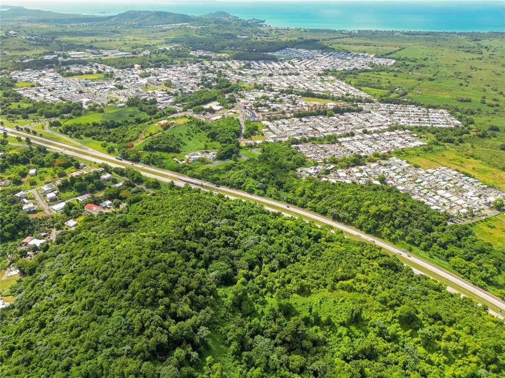 BO MAIZALES CALLE BORGES FINAL Naguabo, PR 00718