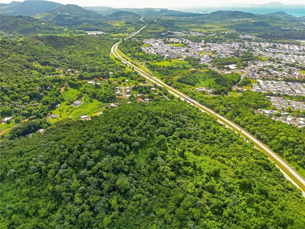 BO MAIZALES CALLE BORGES FINAL Naguabo, PR 00718