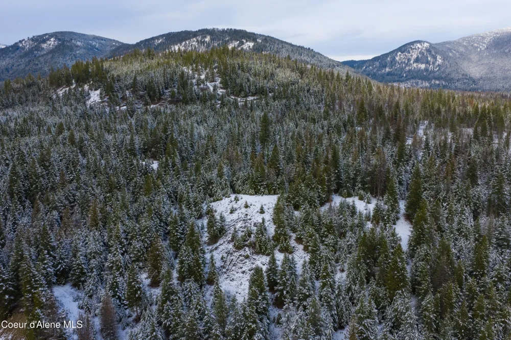 533739 U.S. 95 - 75 Acres Bonners Ferry, ID 83805
