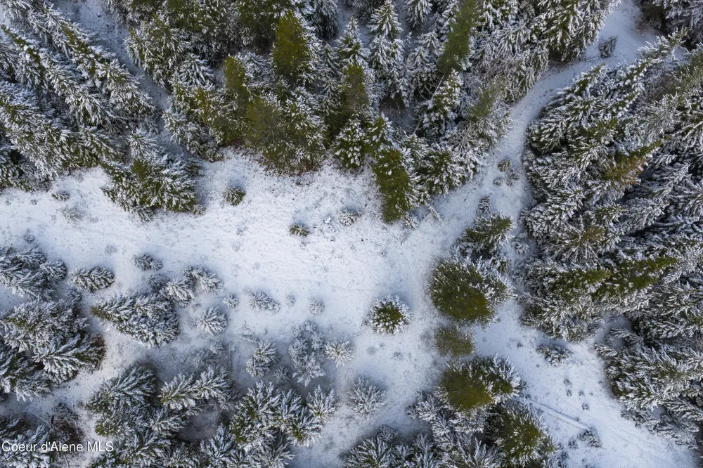 533739 U.S. 95 - 75 Acres Bonners Ferry, ID 83805
