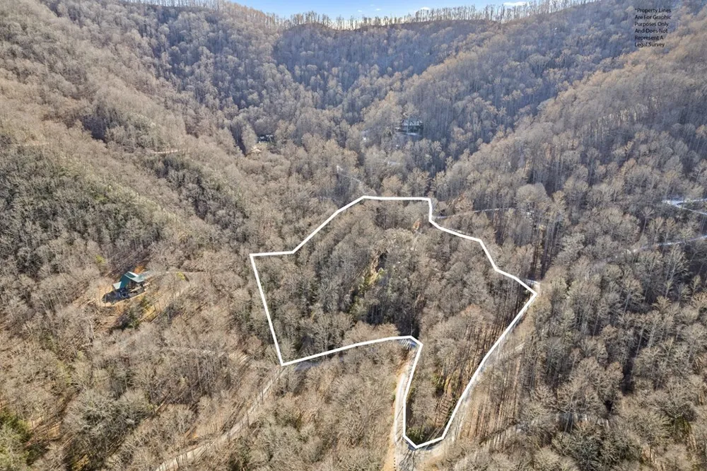 Forest Run Road Whittier, NC 28789
