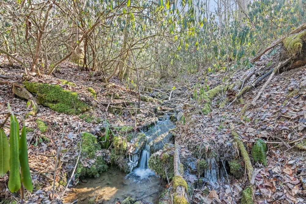 Forest Run Road Whittier, NC 28789