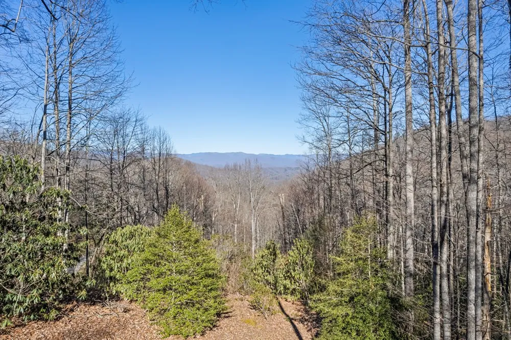 Forest Run Road Whittier, NC 28789