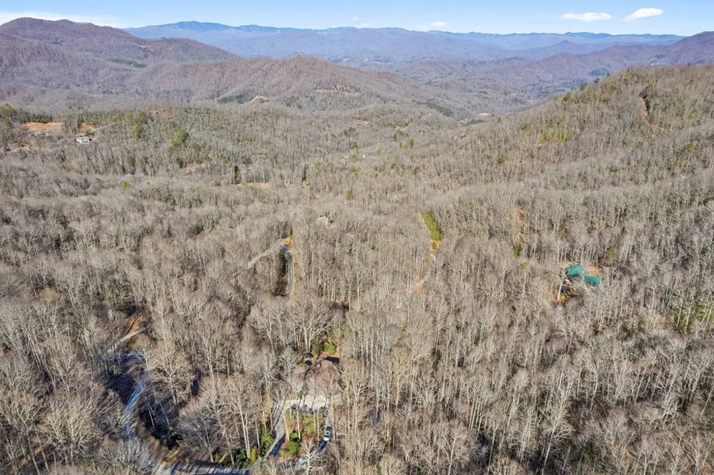 Forest Run Road Whittier, NC 28789
