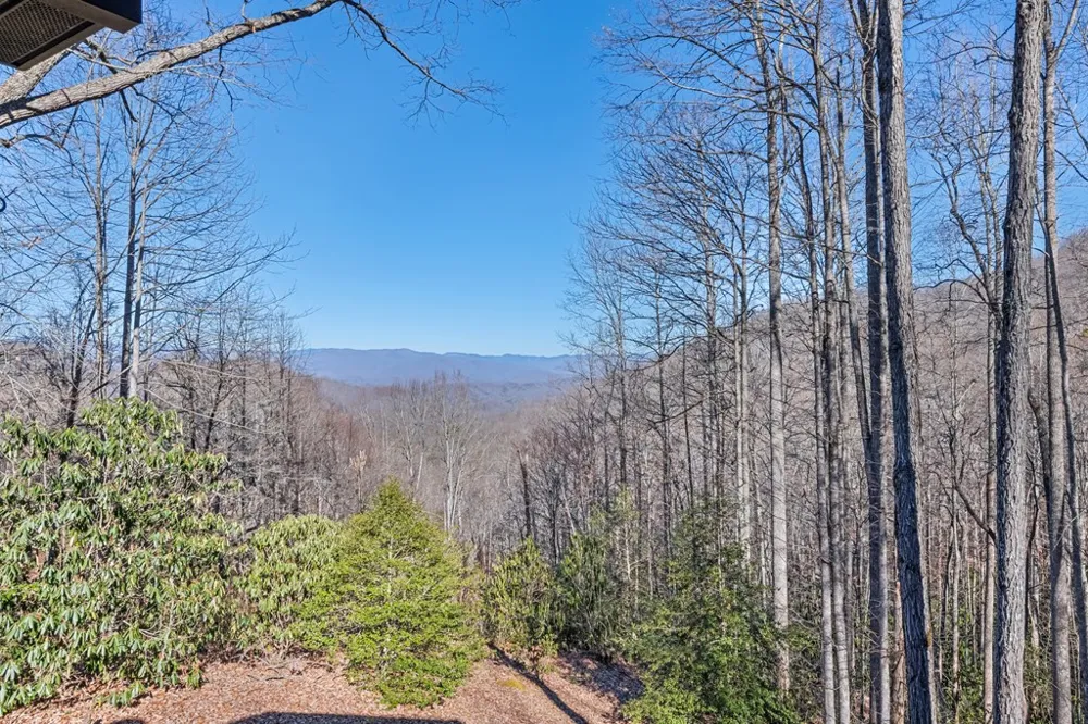 Forest Run Road Whittier, NC 28789