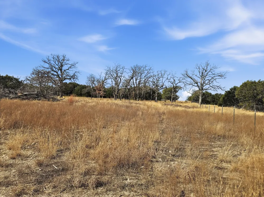 County Road 162 Evant, TX 76525