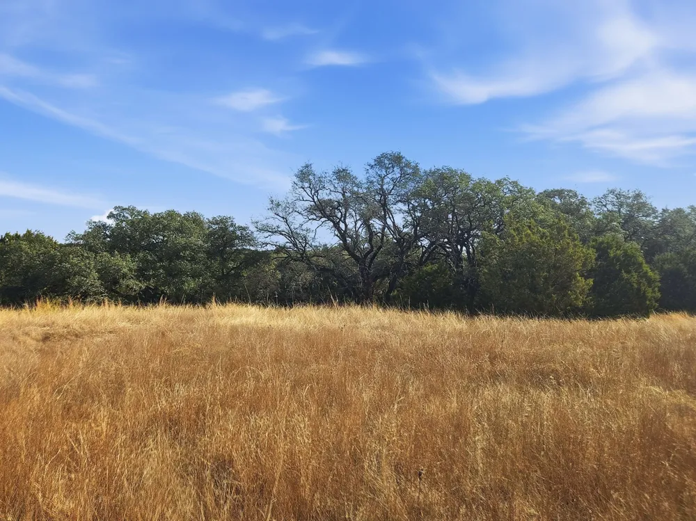 County Road 162 Evant, TX 76525