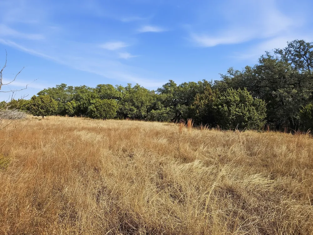 County Road 162 Evant, TX 76525