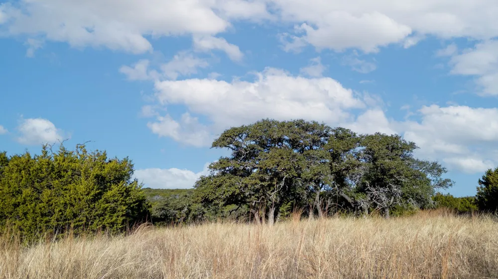 County Road 162 Evant, TX 76525