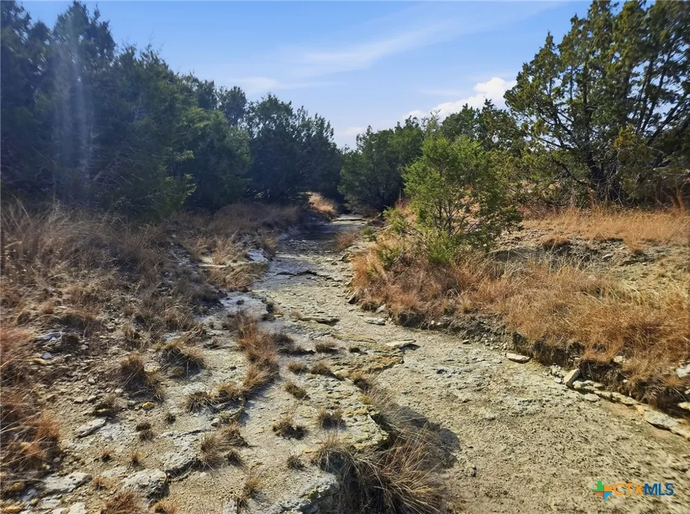 County Road 162 Evant, TX 76525