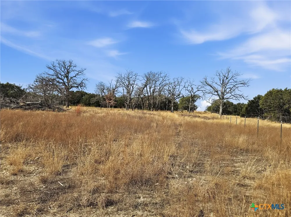 County Road 162 Evant, TX 76525