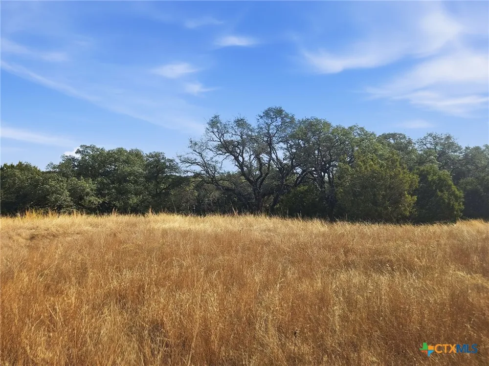 County Road 162 Evant, TX 76525