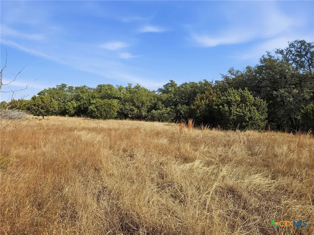 County Road 162 Evant, TX 76525