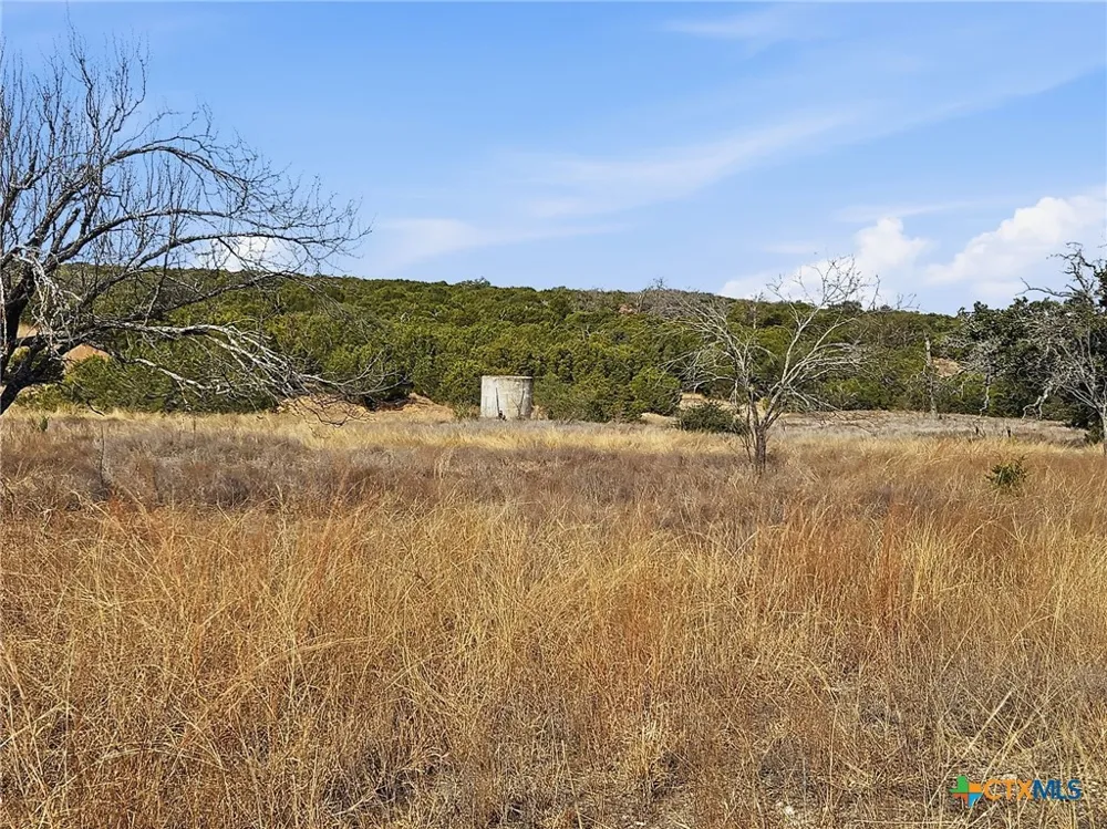 County Road 162 Evant, TX 76525