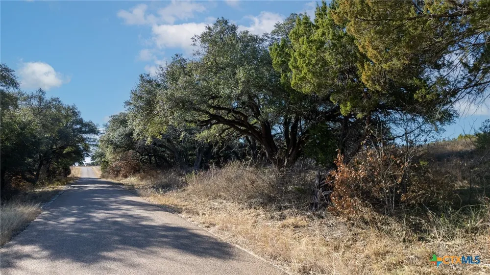 County Road 162 Evant, TX 76525