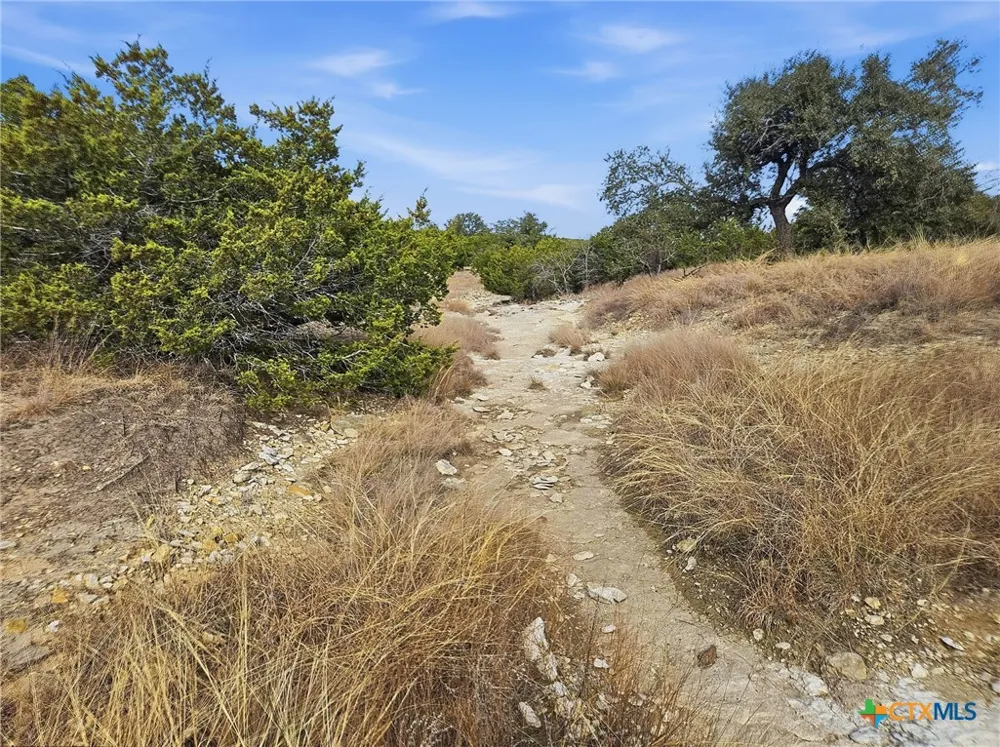 County Road 162 Evant, TX 76525