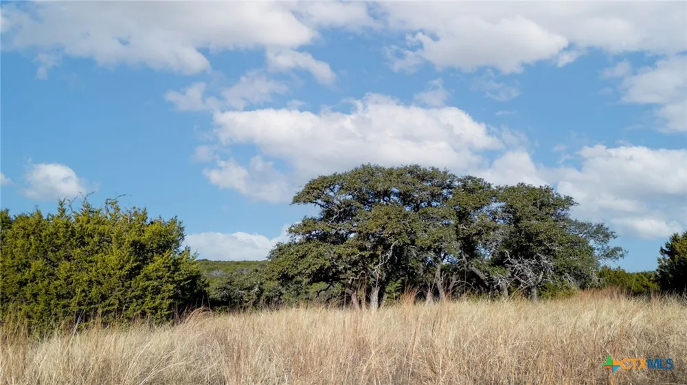 County Road 162 Evant, TX 76525