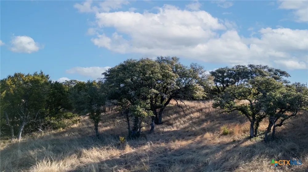 County Road 162 Evant, TX 76525