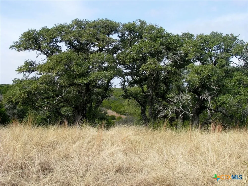 County Road 162 Evant, TX 76525