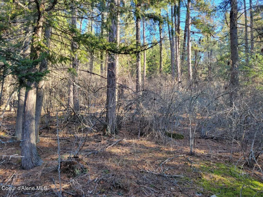 NNA ID-200 Hope, ID 83836