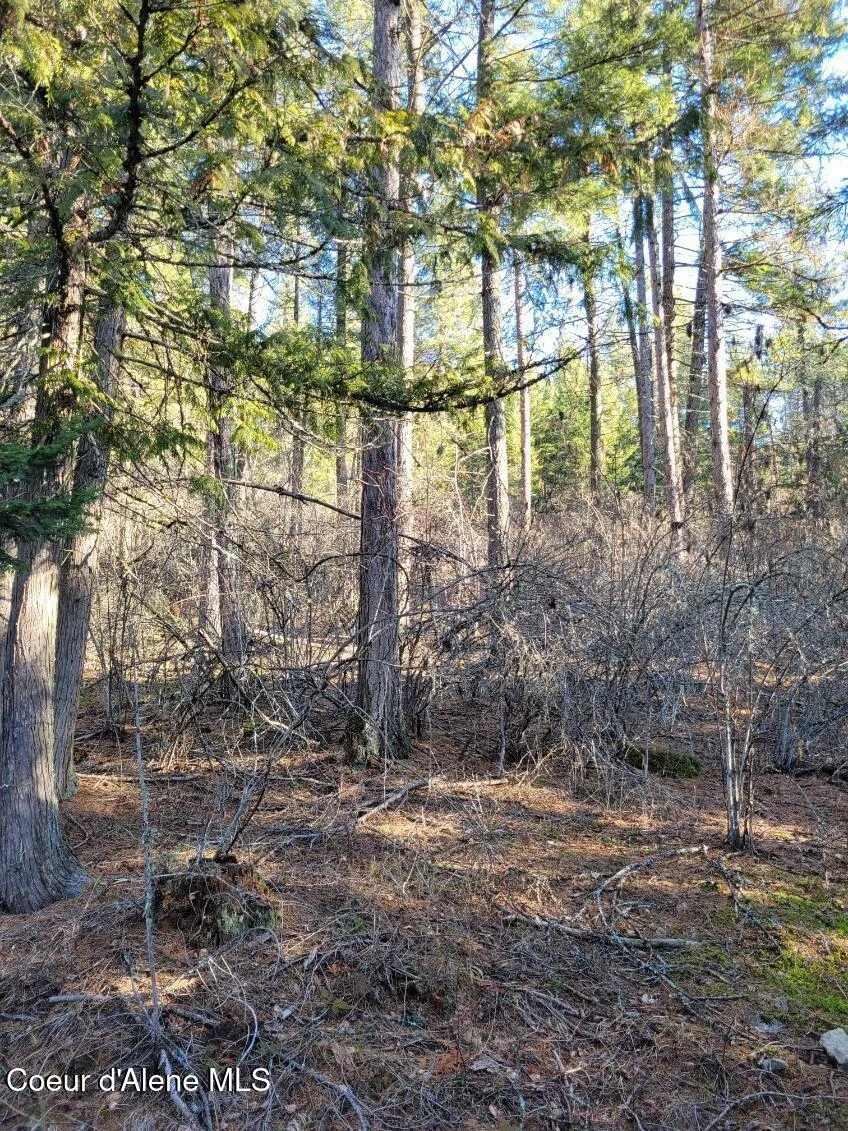 NNA ID-200 Hope, ID 83836