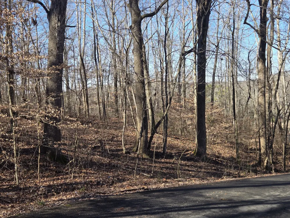 0 Westwood Dr Main St