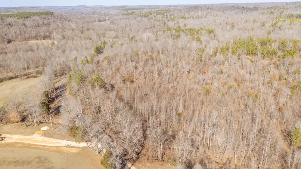 3310 HOLLAND CREEK RD Savannah, TN 38372