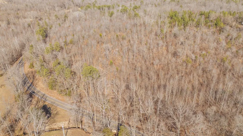 3310 HOLLAND CREEK RD Savannah, TN 38372