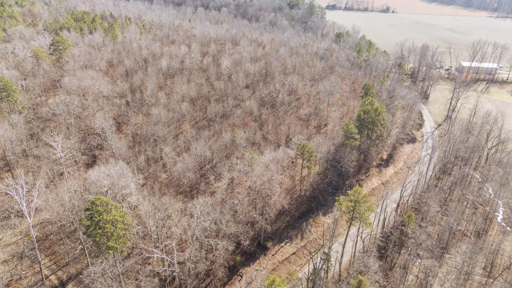 3310 HOLLAND CREEK RD Savannah, TN 38372