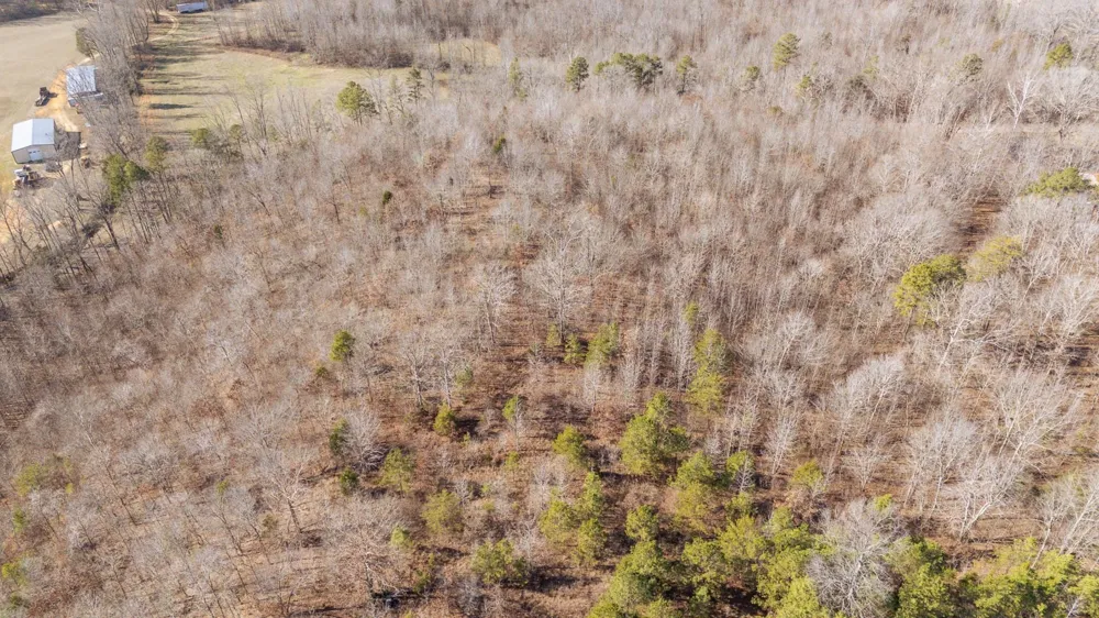 3310 HOLLAND CREEK RD Savannah, TN 38372