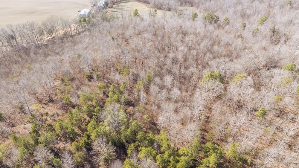 3310 HOLLAND CREEK RD Savannah, TN 38372