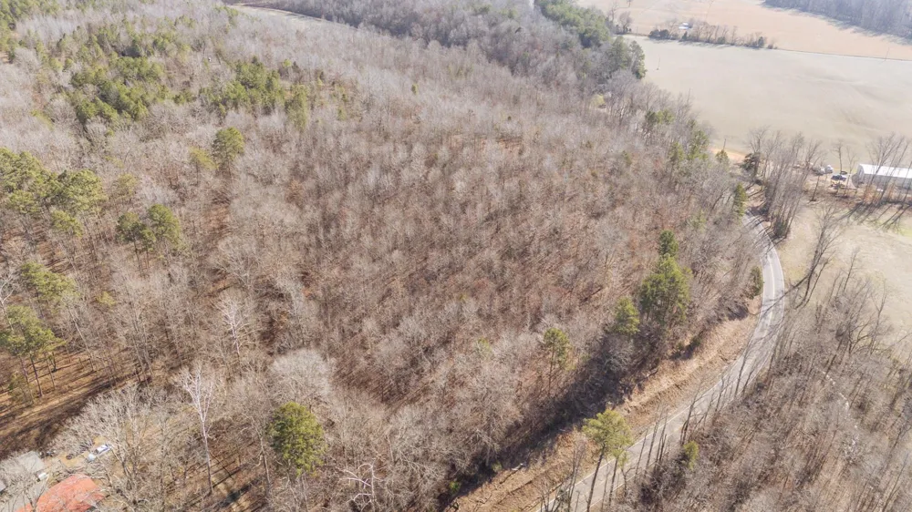 3310 HOLLAND CREEK RD Savannah, TN 38372