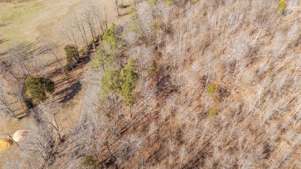 3310 HOLLAND CREEK RD Savannah, TN 38372