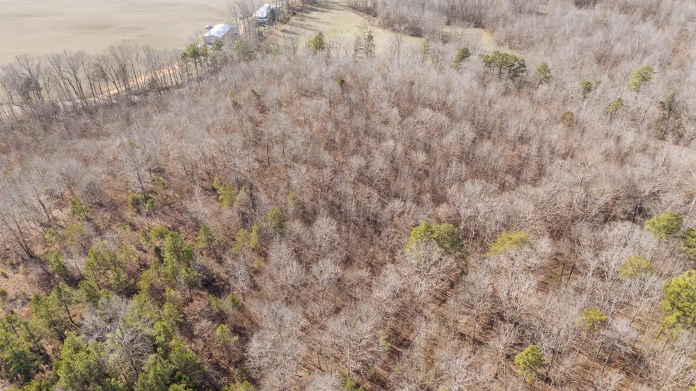 3310 HOLLAND CREEK RD Savannah, TN 38372