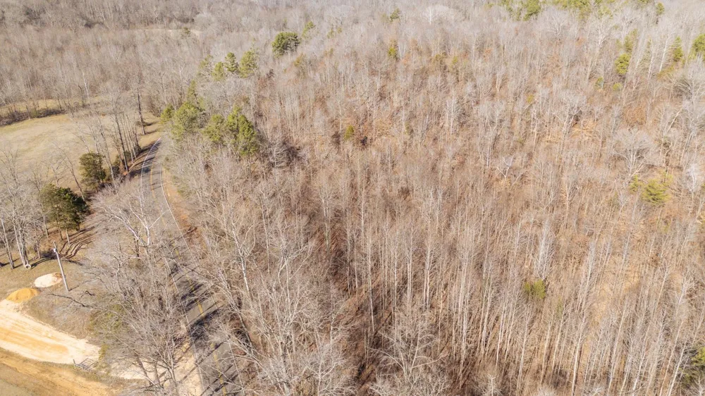 3310 HOLLAND CREEK RD Savannah, TN 38372