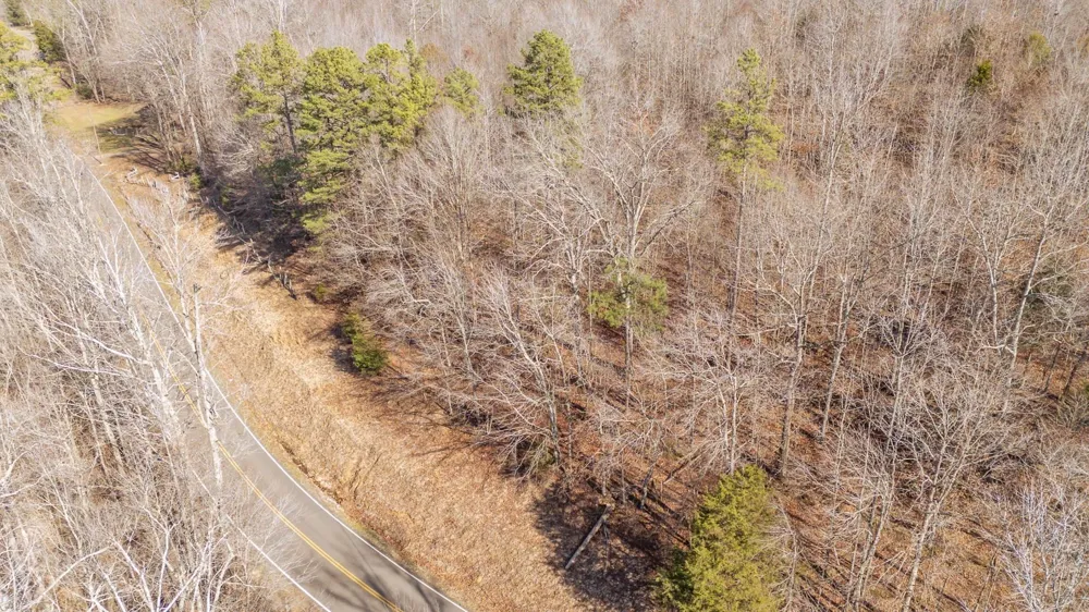 3310 HOLLAND CREEK RD Savannah, TN 38372