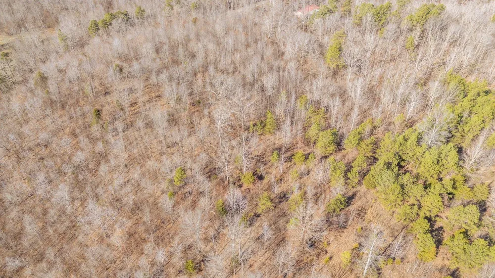 3310 HOLLAND CREEK RD Savannah, TN 38372