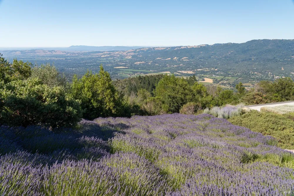 2947 Cavedale Road Glen Ellen, CA 95442