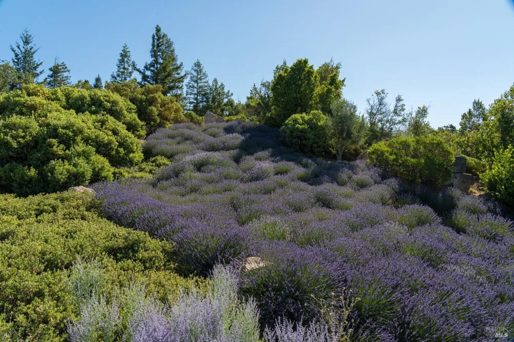 2947 Cavedale Road Glen Ellen, CA 95442