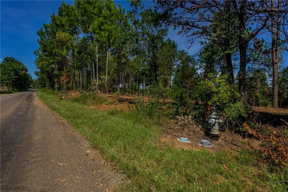 1 Young Loop Fairmount, GA 30139