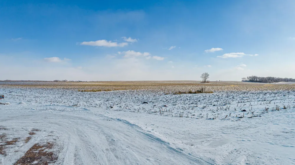 124 Kaukis Drive Le Sueur, MN 56058