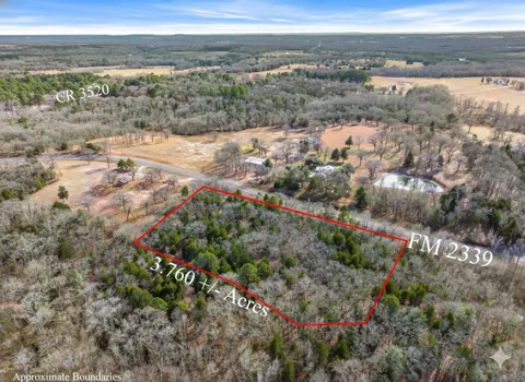 FM 2339 (Callender Lake X)