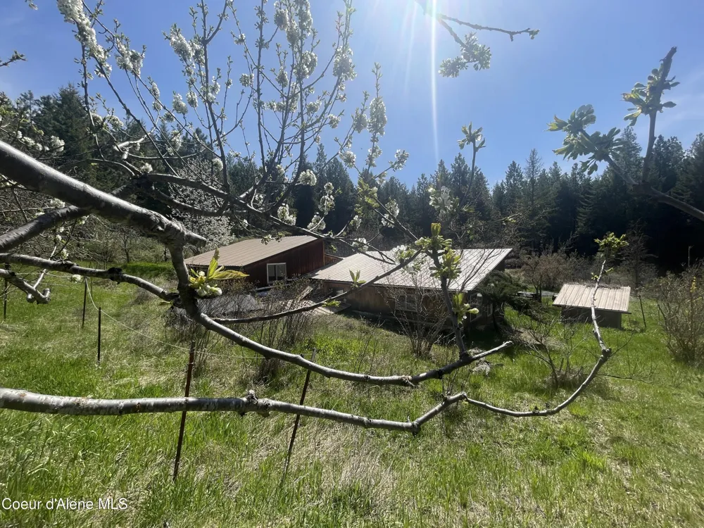 2447 Turner Hill Road Bonners Ferry, ID 83805