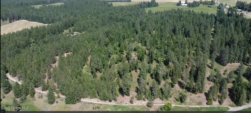 2447 Turner Hill Road Bonners Ferry, ID 83805
