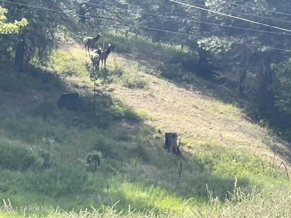2447 Turner Hill Road Bonners Ferry, ID 83805