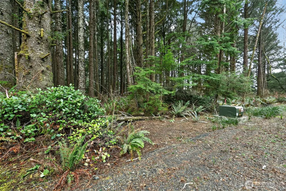 2772 State Route 109 Ocean City, WA 98569