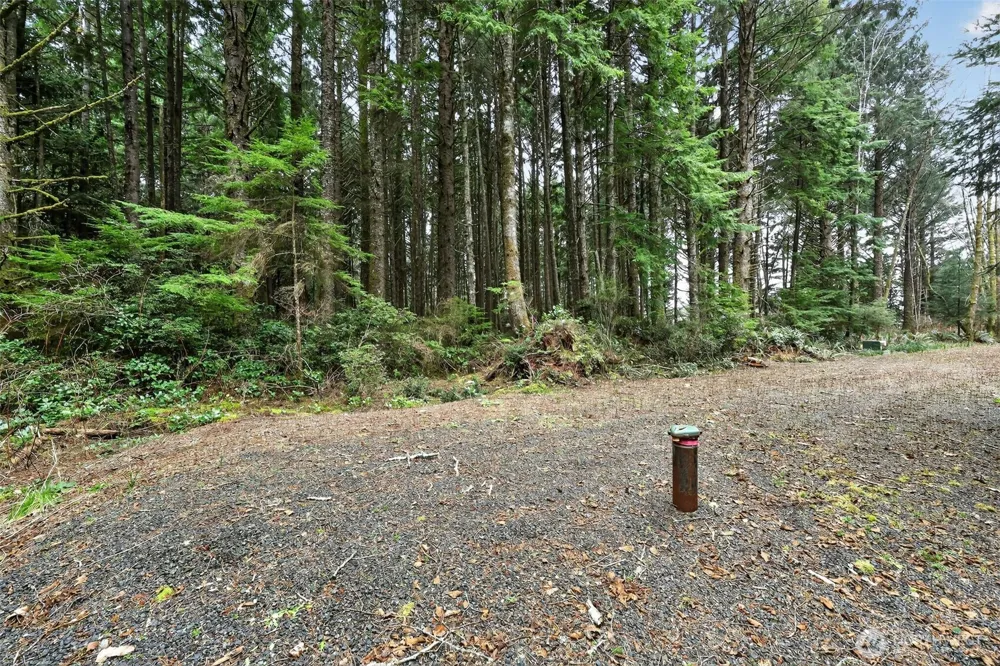2772 State Route 109 Ocean City, WA 98569