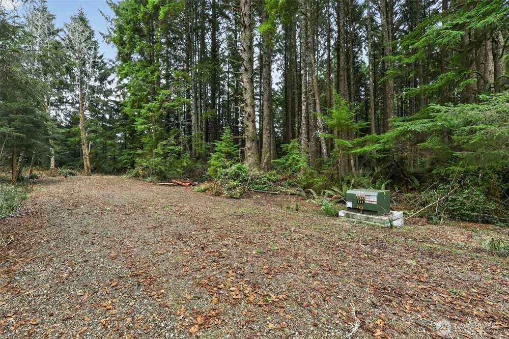 2772 State Route 109 Ocean City, WA 98569