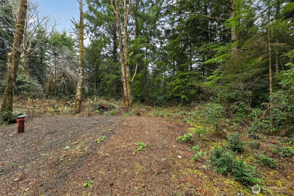 2772 State Route 109 Ocean City, WA 98569